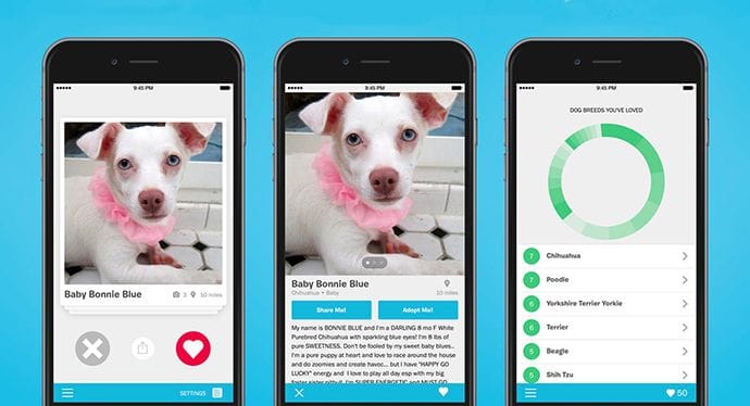 puppy age tracker app