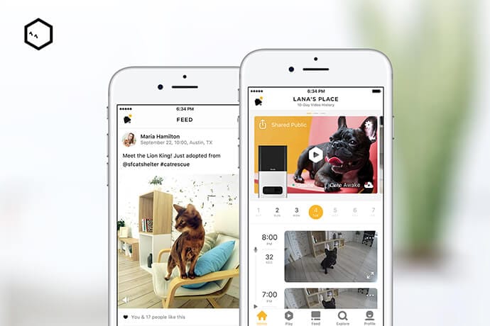 Petcube App