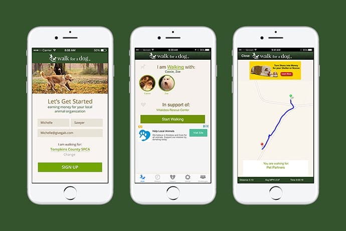 walk for a dog app