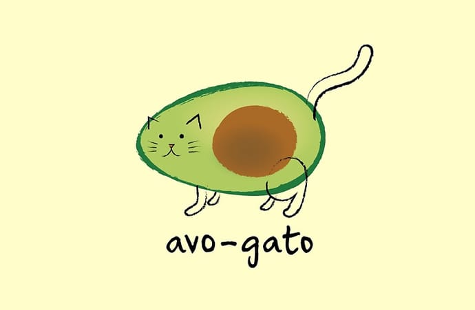 avocado cat