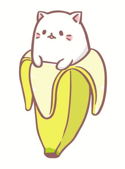 cat as a banana