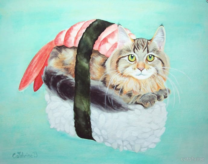 sushi cat