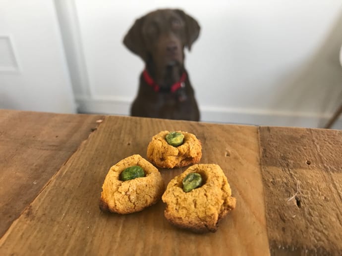 Doggy Treats Recipe