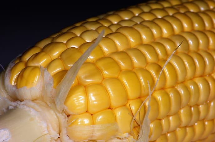 Corn