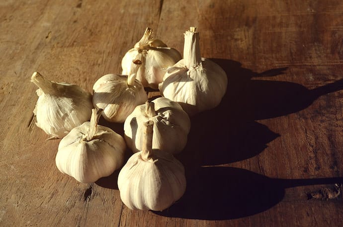 garlic on the table