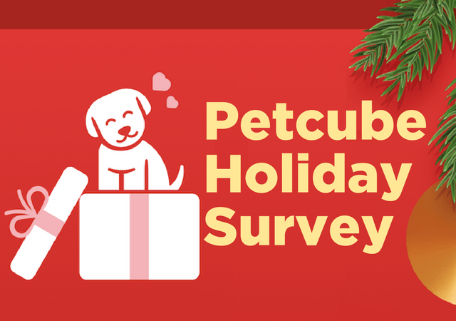 Petcube Holiday Survey Shows Christmas is Big For Pets