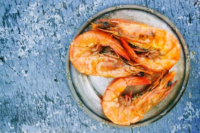 Is Shrimp Bad For Dogs Risks Benefits Advice