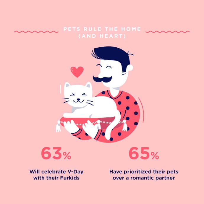 Pets rule the home infographic