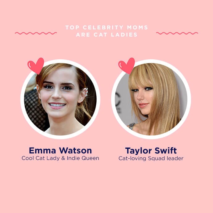 To celebrity pet moms