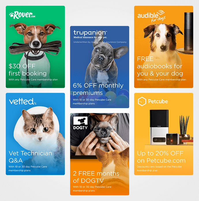 Petcube Care Membership for Pet Parents Perks