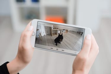 How to Use Cloud Video for Virtual Pet Care