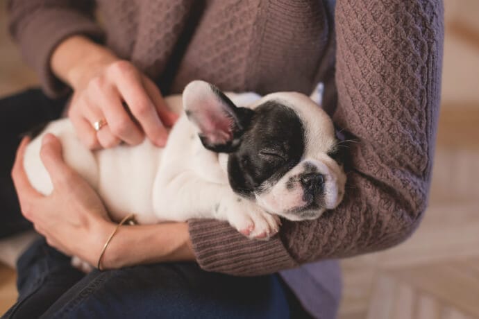 Holding a puppy