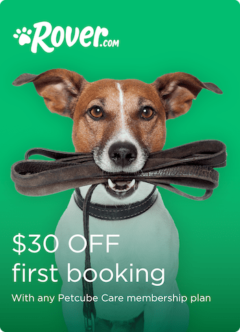 Petcube Care membership benefits