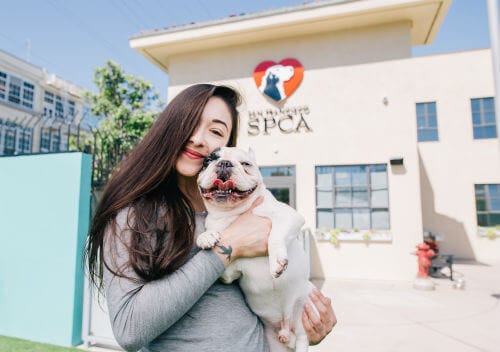 San Francisco SPCA Adoption Center