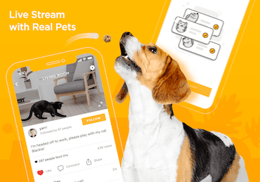 Meet Petcube App 4.0: Get More Social with Your Pet