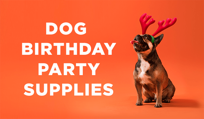 how do you plan a dogs birthday party