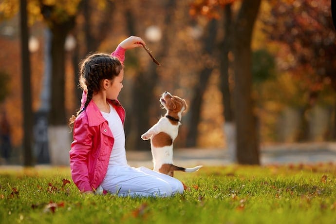 Girl training a puppy