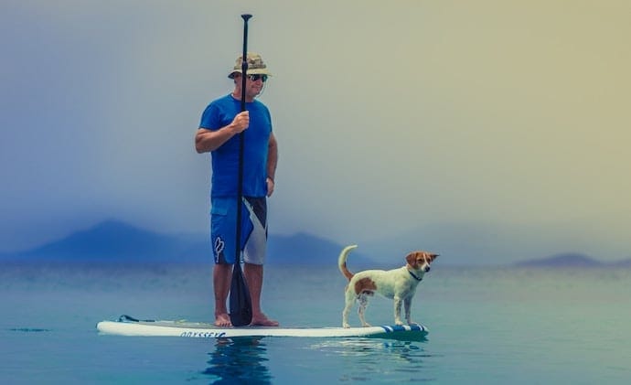 surfing with a dog on vacation