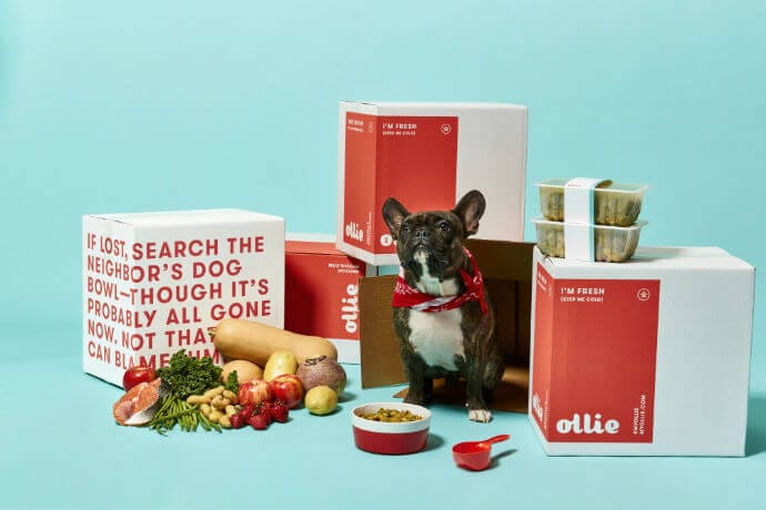 Ollie's Co-Founder On Delivering Human-Grade Food To Your Dog