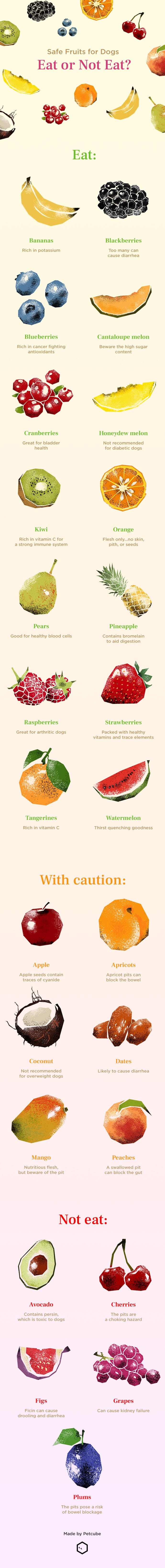 Human Foods Dogs Can Eat Chart