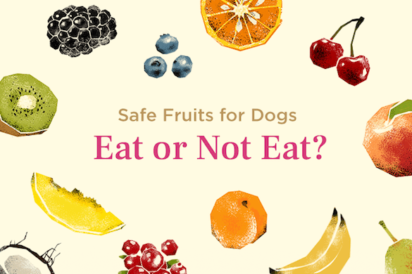 25 Fruits Dogs Can and Can't Eat [+Infographic]