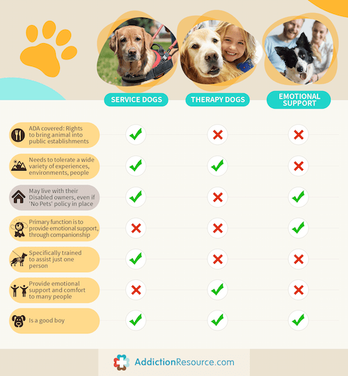 service dogs and therapy dogs comparison table