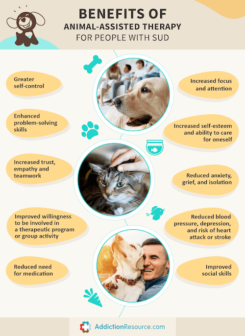 Infographic benefits of animal-assisted therapy