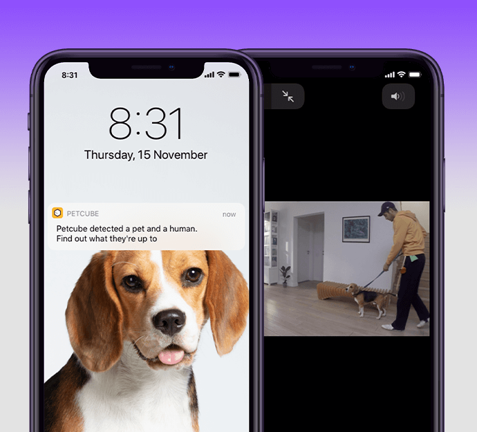 Petcube Care Smart Alerts: Pet and Person Detection