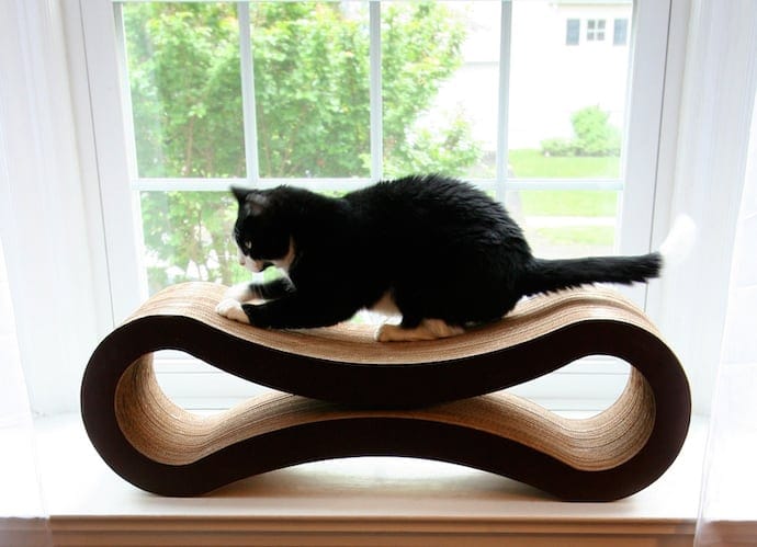 cat on a Pet Fusion scratcher