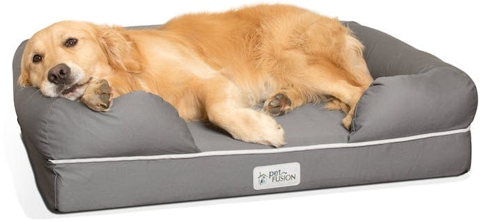 Dog retriever laying on the bed for dogs