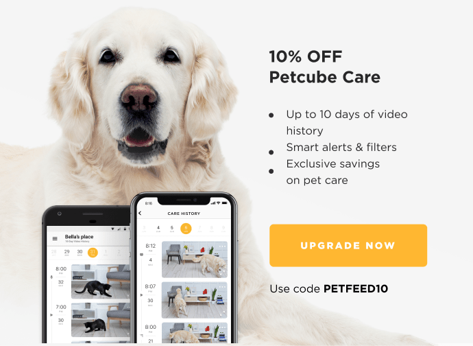 10% OFF Petcube Care