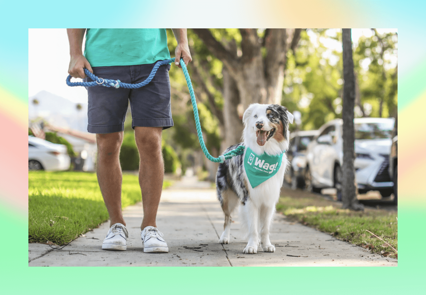 Wag Walking Service