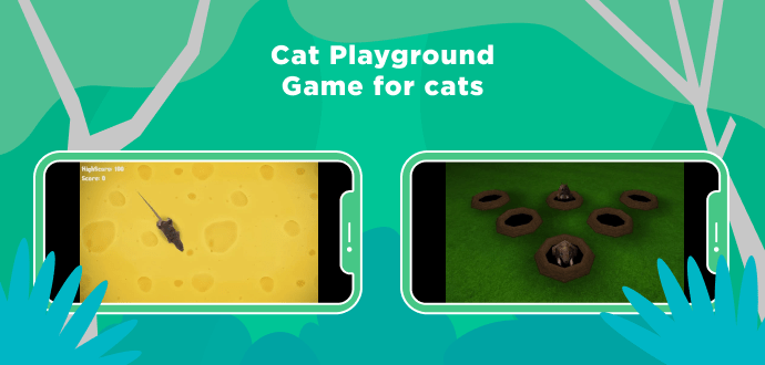 Cat Playground app