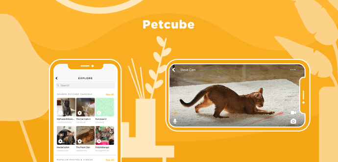 10 Must-Have Apps for Cats