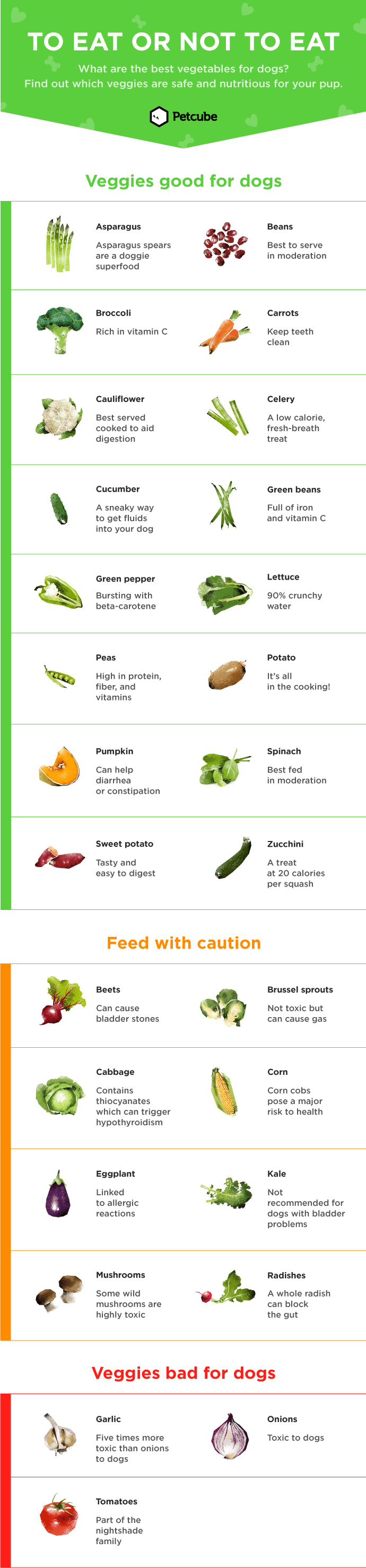 Vegetables dogs can and can't eat infographic