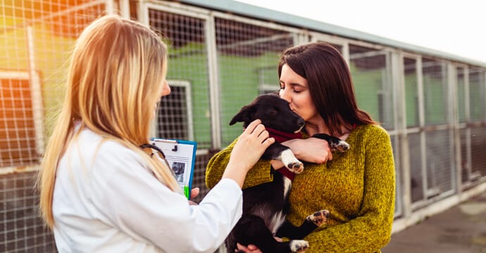 a girl adopting a dog from the shelter