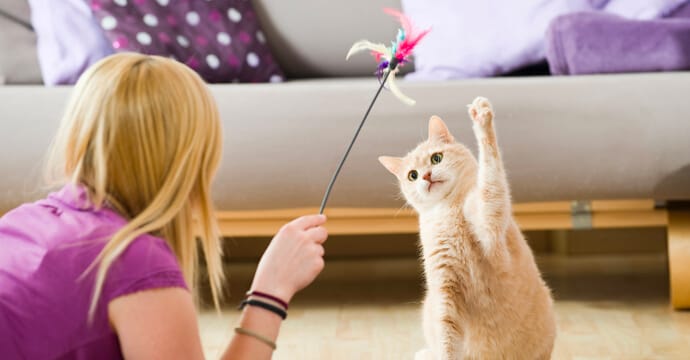 a girl playing with a cat