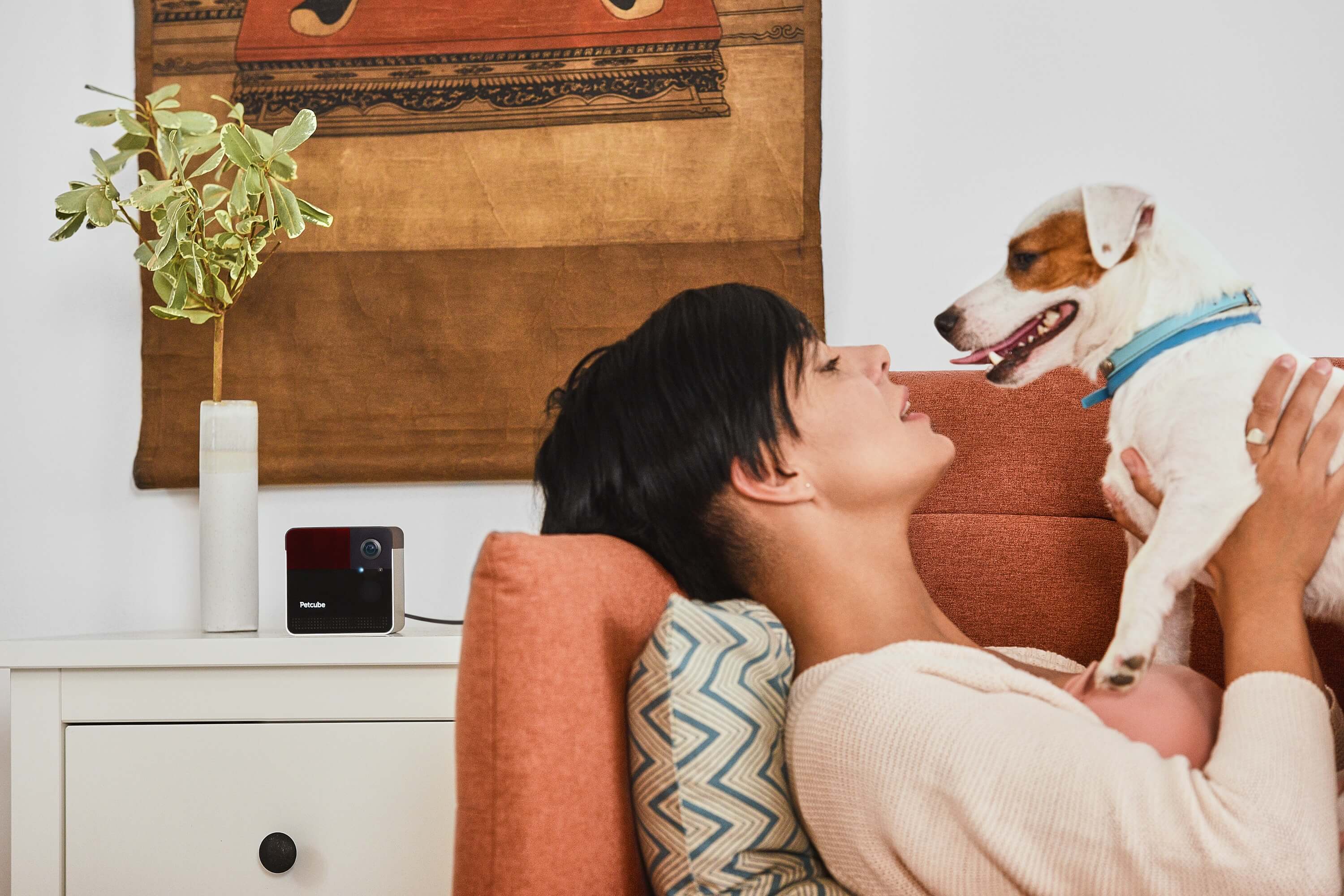 Petcube Play 2 interactive pet camera