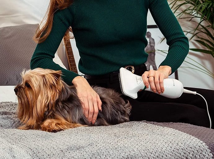 drying a dog with a hairdryer