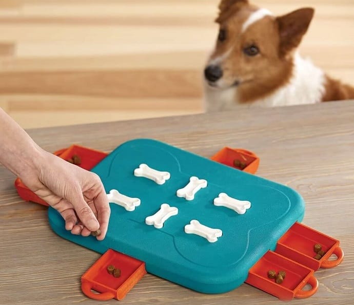 a dog puzzle