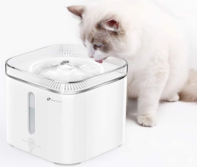 a cat drinking water from a water fountain