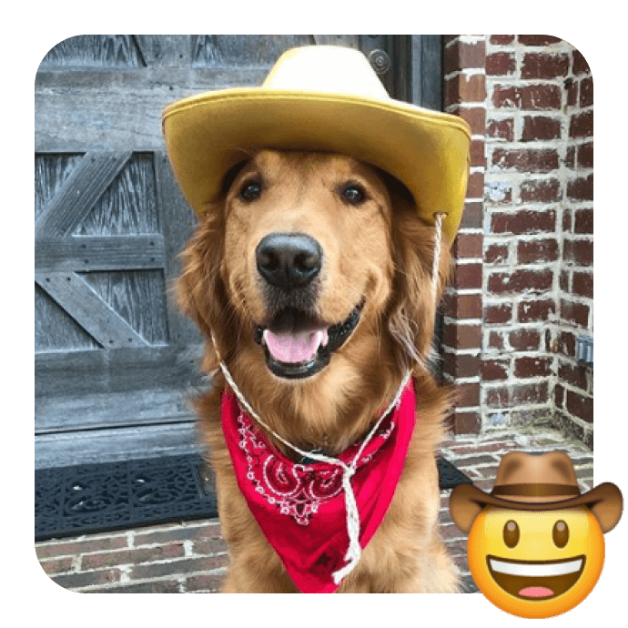 Celebrate World Emoji Day with 20 Cutest Insta Pups