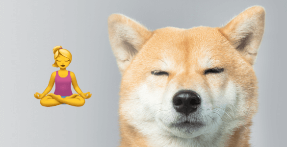 Celebrate World Emoji Day with 20 Cutest Insta Pups