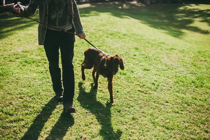 a woman walking a dog