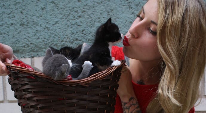 Cat and Girl kissing