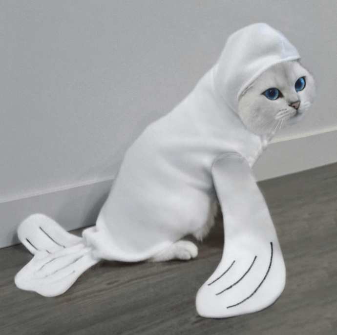 cat seal
