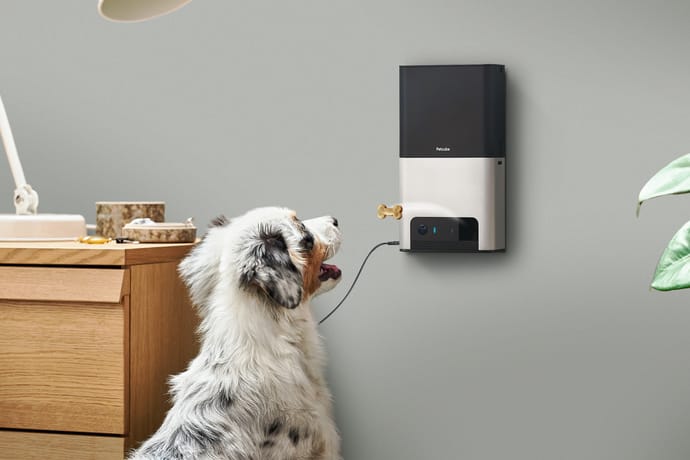 Petcube Bites the pet cam that gives treats