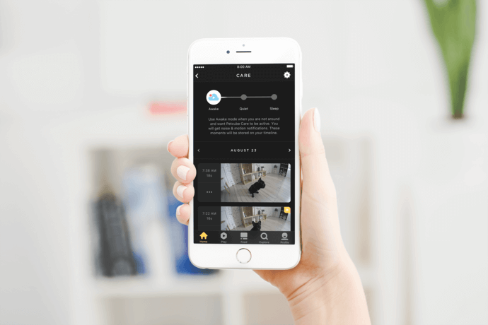 Petcube Care screenshot