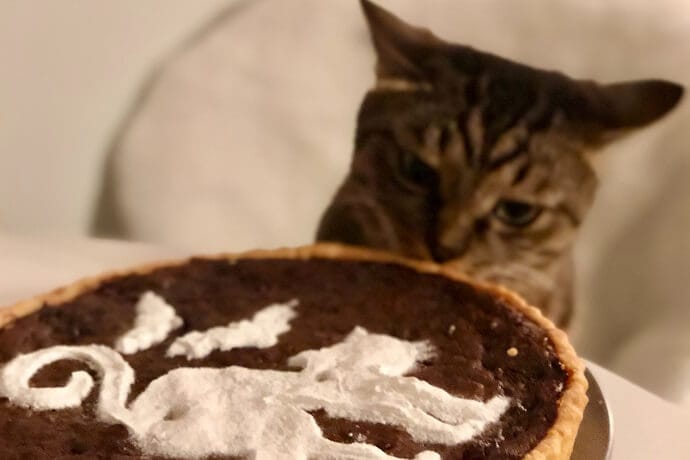 is chocolate bad for cats