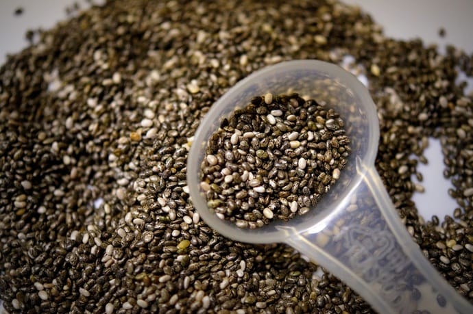 can cats eat chia seeds